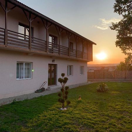 Hotel Pensiunea Alin Sisesti  Zewnętrze zdjęcie