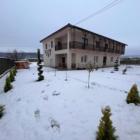 Hotel Pensiunea Alin Sisesti  Zewnętrze zdjęcie