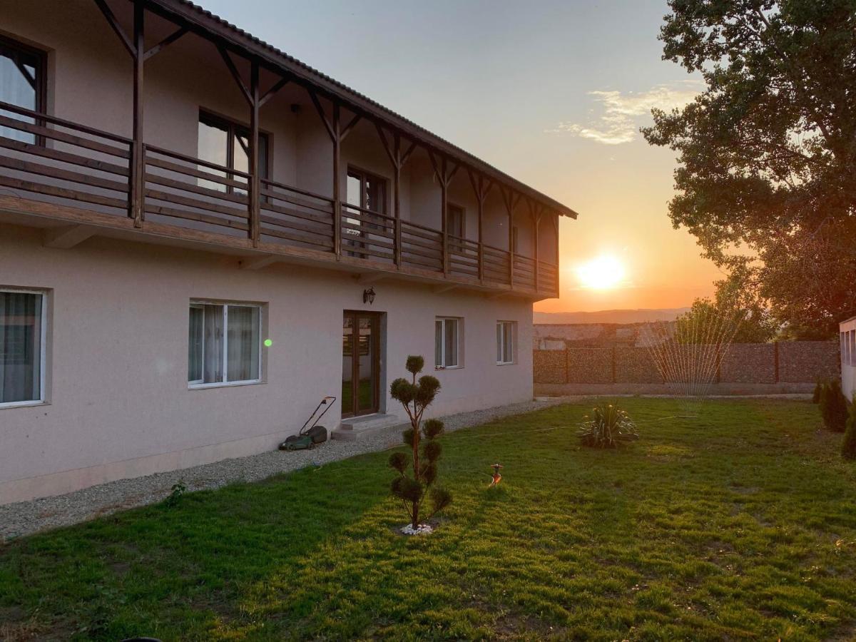 Hotel Pensiunea Alin Sisesti  Zewnętrze zdjęcie