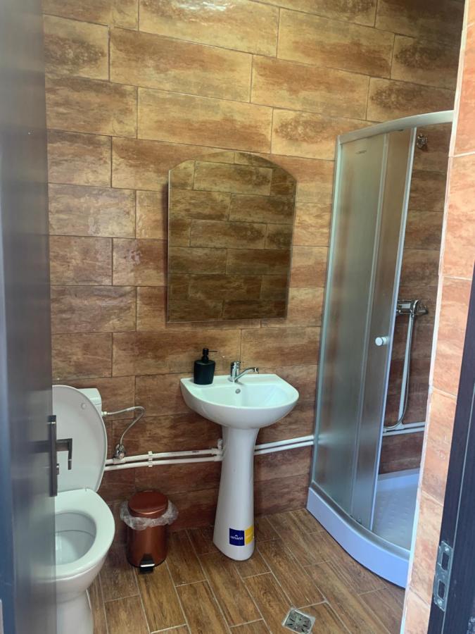 Hotel Pensiunea Alin Sisesti  Zewnętrze zdjęcie