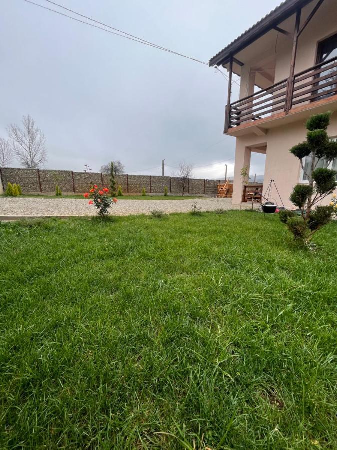 Hotel Pensiunea Alin Sisesti  Zewnętrze zdjęcie