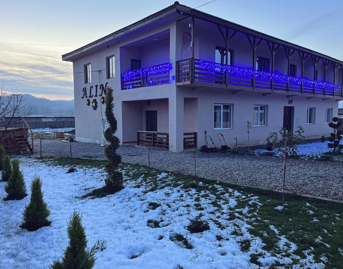 Hotel Pensiunea Alin Sisesti  Zewnętrze zdjęcie